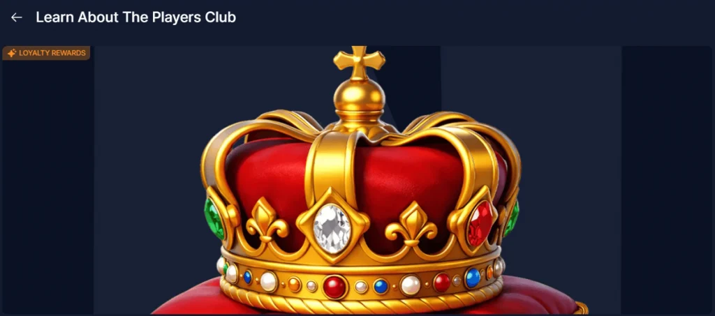 Club-1024x453 NetBet Casino Review