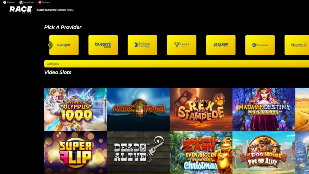 Video-Slots-1024x576 Race Casino Review
